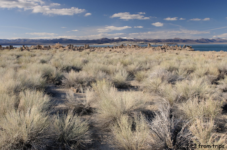 Mono Lake and the Sierra Nevada Mountains2010d12c165.jpg